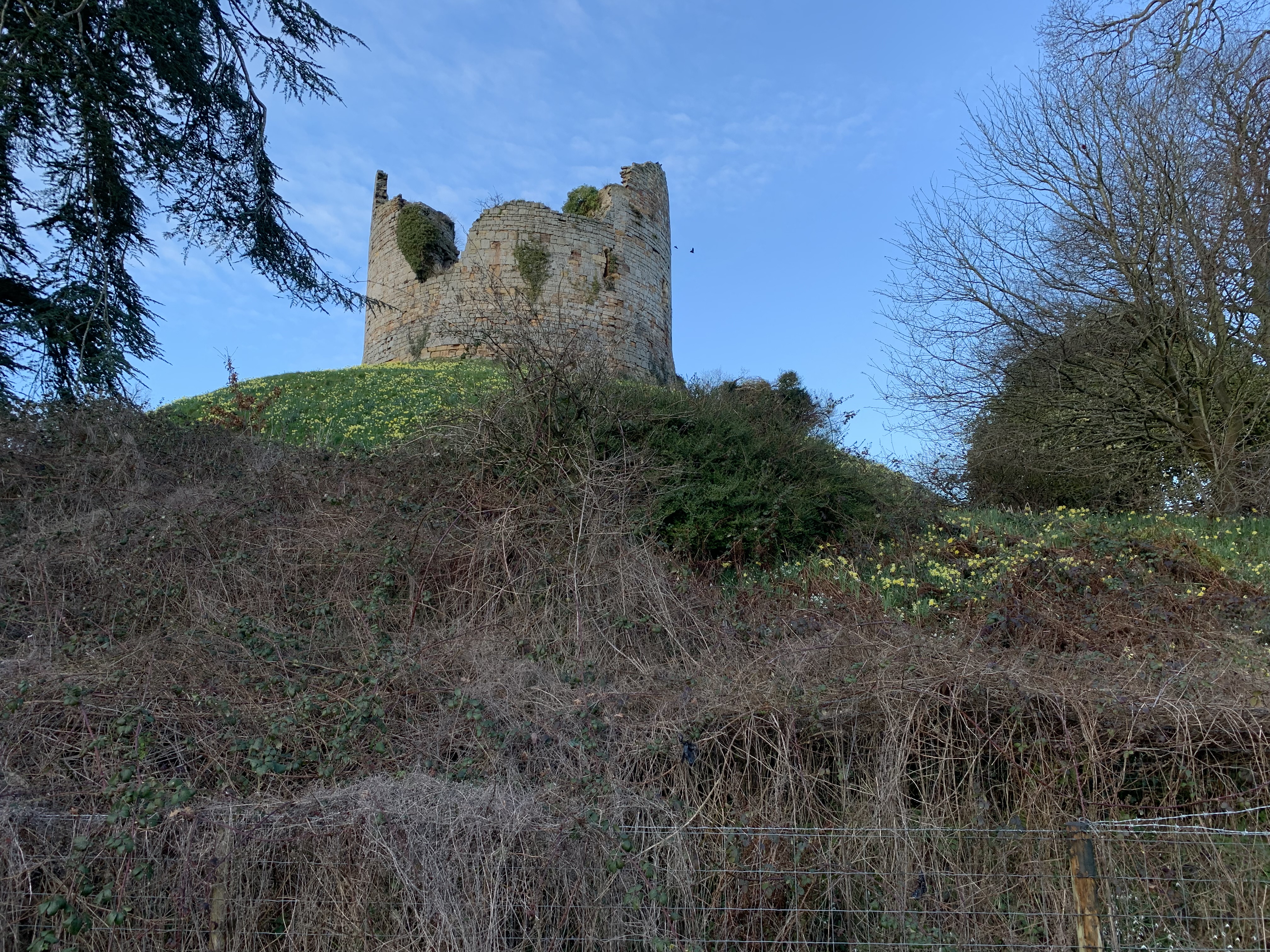 Hawarden Castle (from afar)
